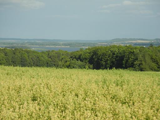 Campagne-Randers_1.jpg