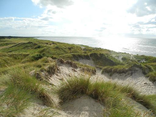 Dunes-Ouest_3.jpg