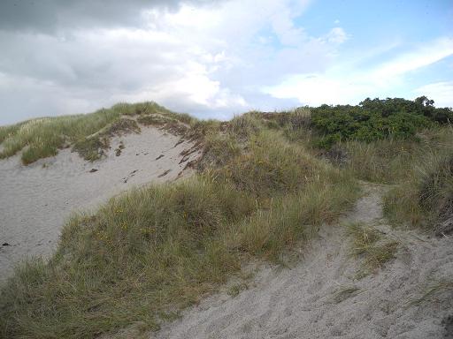 Dunes-Ouest_4.jpg