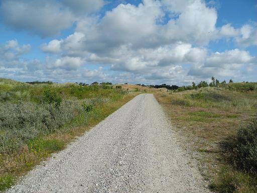 Kiltplantage-Dunes-velo.jpg