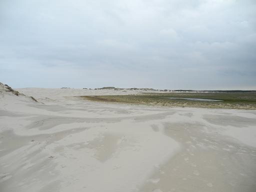 Rabjerg-Mile_11.jpg