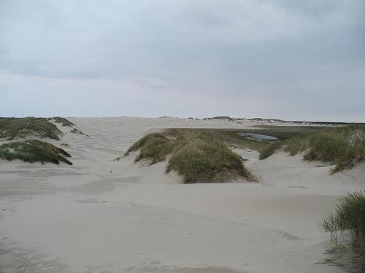 Rabjerg-Mile_19.jpg