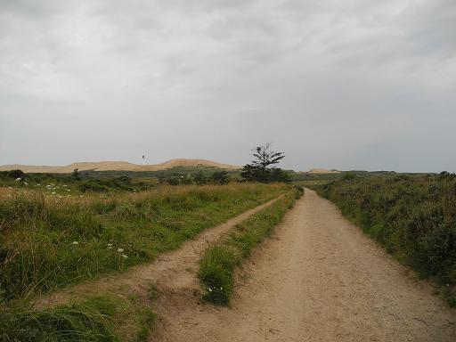 Rabjerg-Knude_02.jpg