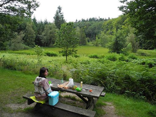 Picnic_Lilleborg_1.jpg