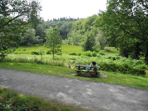 Picnic_Lilleborg_2.jpg