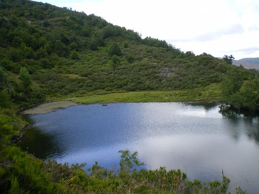laguna_de_chaguenos_05.jpg