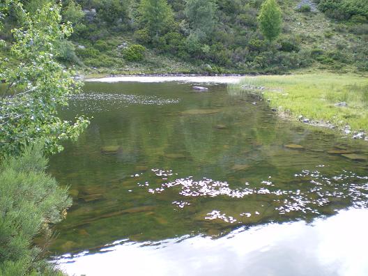 laguna_de_chaguenos_07.jpg