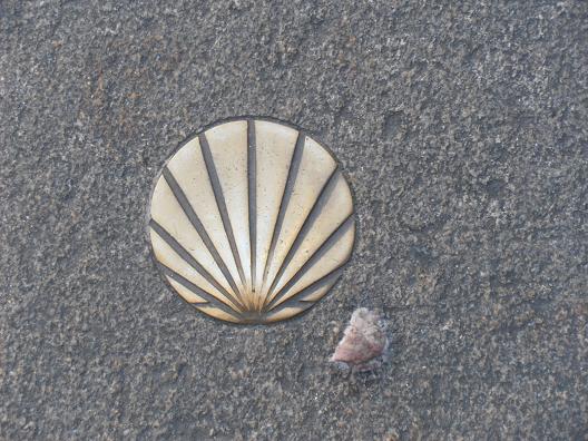 Compostela_Coquille-St-Jacques.jpg