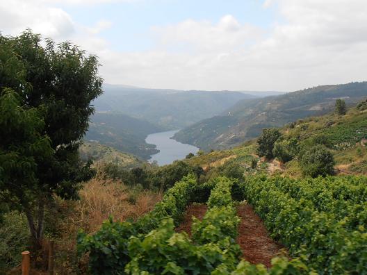 Ribeira-Sacra_1.jpg
