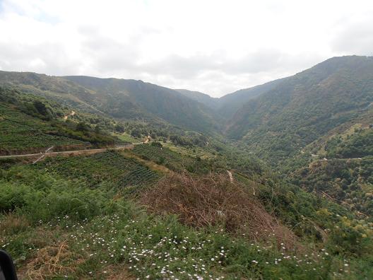 Ribeira-Sacra_2.jpg