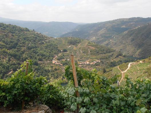 Ribeira-Sacra_3.jpg