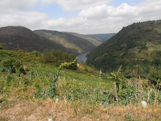 Ribeira-Sacra_4.jpg