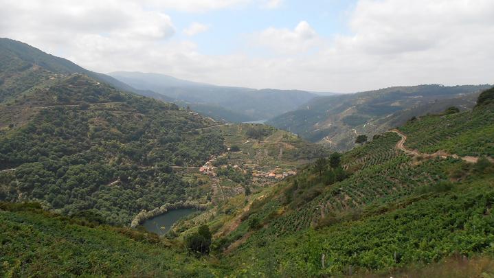 Ribeira-Sacra_7.jpg