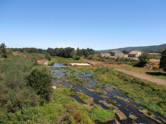 Rio_Limia_08.jpg