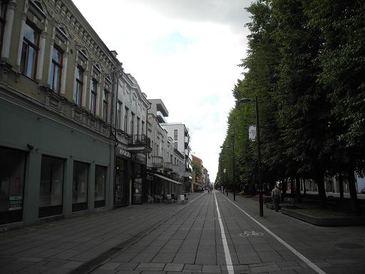 Kaunas_Laisves_Alija_1.jpg