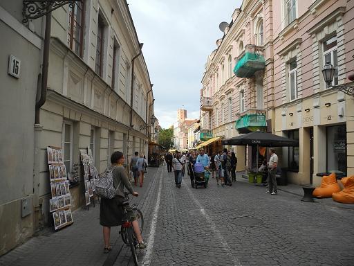Vilnius_Pilies.jpg