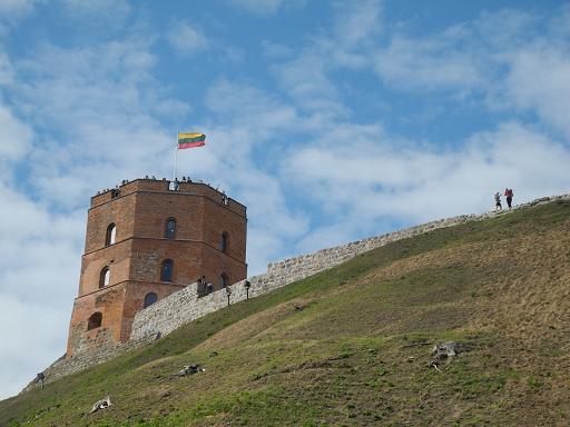 Vilnius_Tour-Gediminas_16.jpg