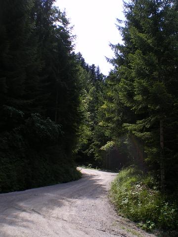 dan06-prohorje.jpg