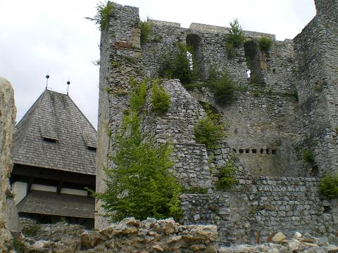 dan09-chateau_de_celje_02.jpg