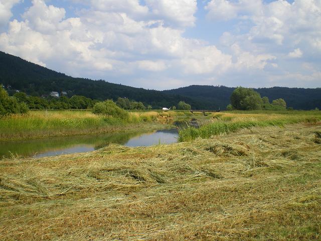 dan13-cerknica_01.jpg