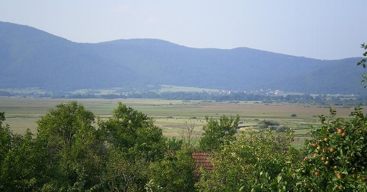 dan13-cerknica_05.jpg