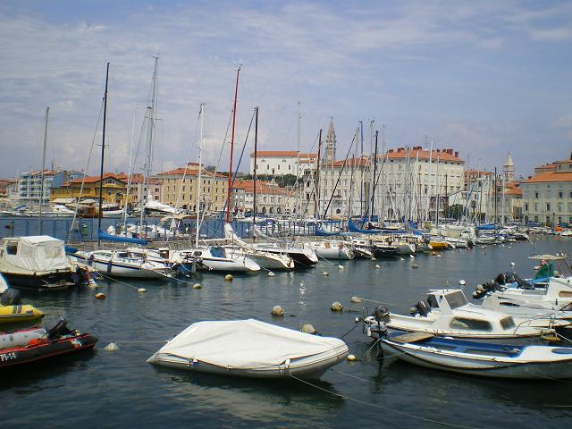 dan15-Piran_02.jpg