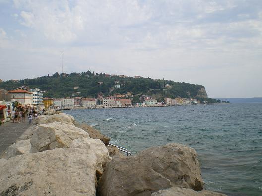 dan15-Piran_06.jpg