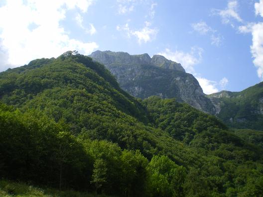 dan19-montee_au_planina_1.jpg