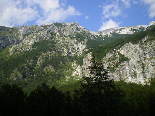 dan19-planina_pod_osojnico_3.jpg