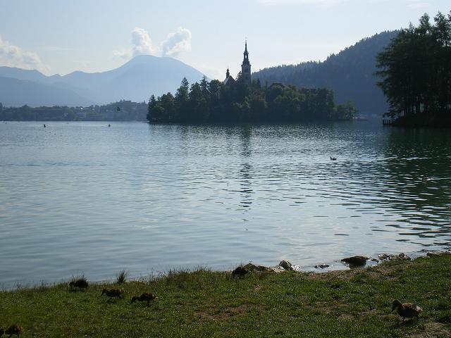 dan25-bled_matin_3.jpg