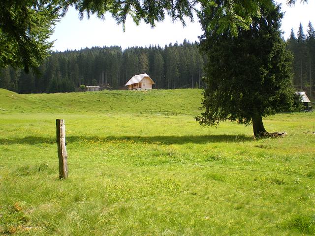 dan25-pokljuka_04.jpg