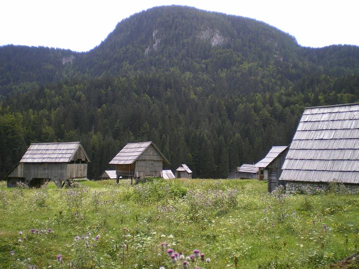 dan27-planina_blato_1.jpg