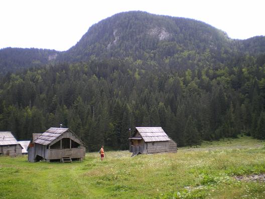 dan27-planina_blato_2.jpg