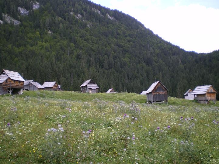 dan27-planina_blato_4.jpg