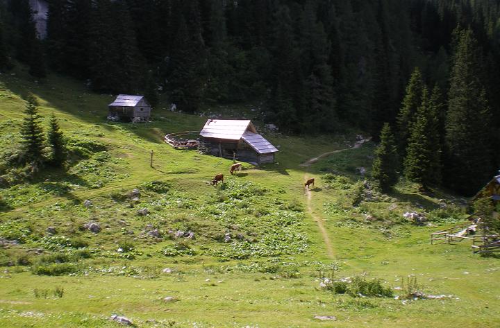 dan27-planina_pri_jezeru_01.jpg