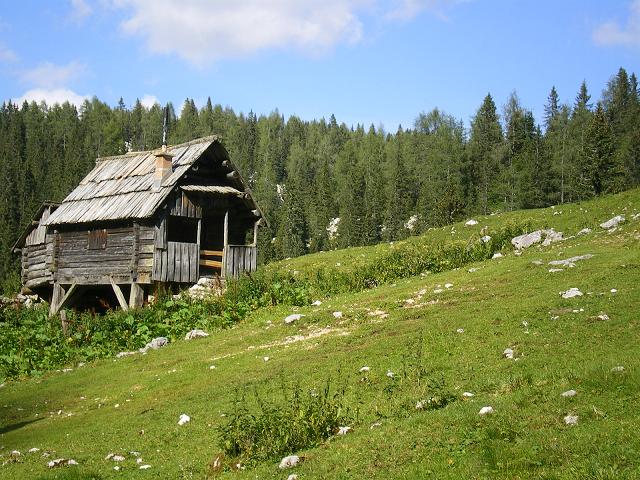 dan27-planina_pri_jezeru_13.jpg